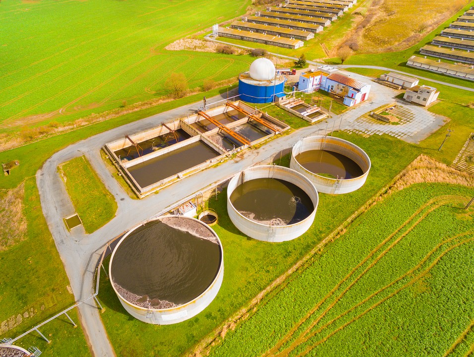 biomass
