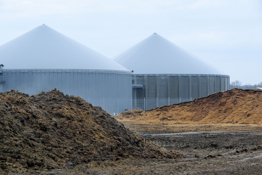 Roxas Holdings Inc.’s Negros bioethanol plant suspended
