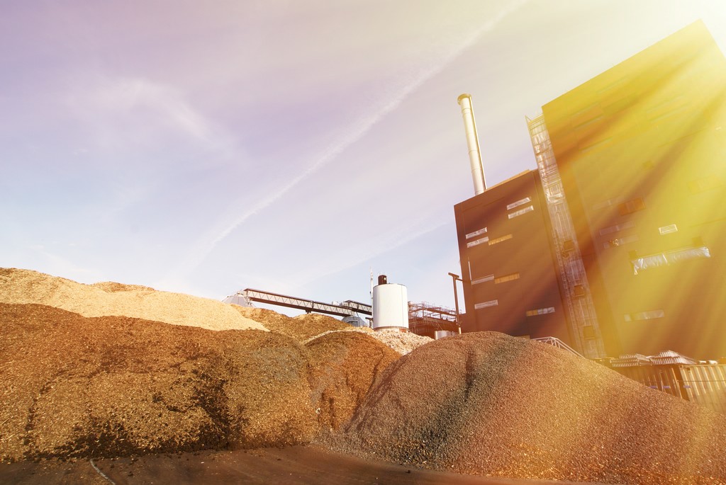 biomass