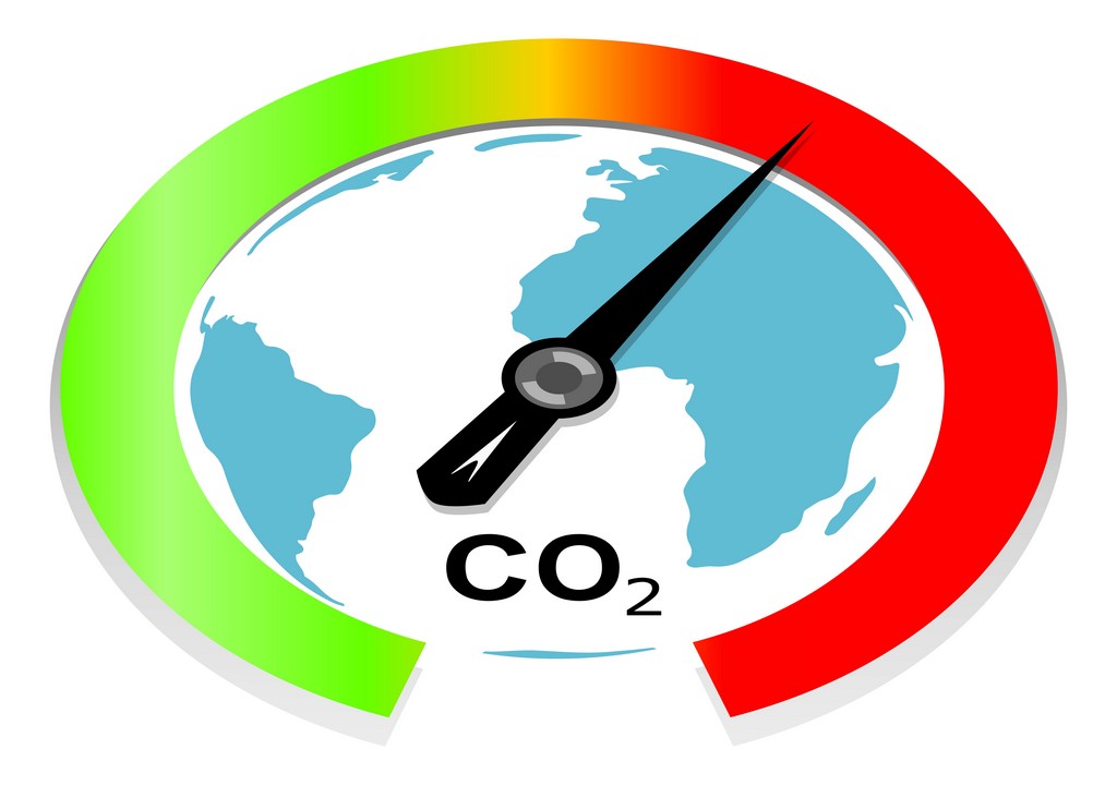 Lawmaker calls on implementation of carbon tax