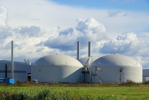 Biomass could draw billion-dollar investments