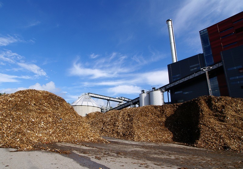 DOE pushes foreign involvement in biomass energy dev’t projects