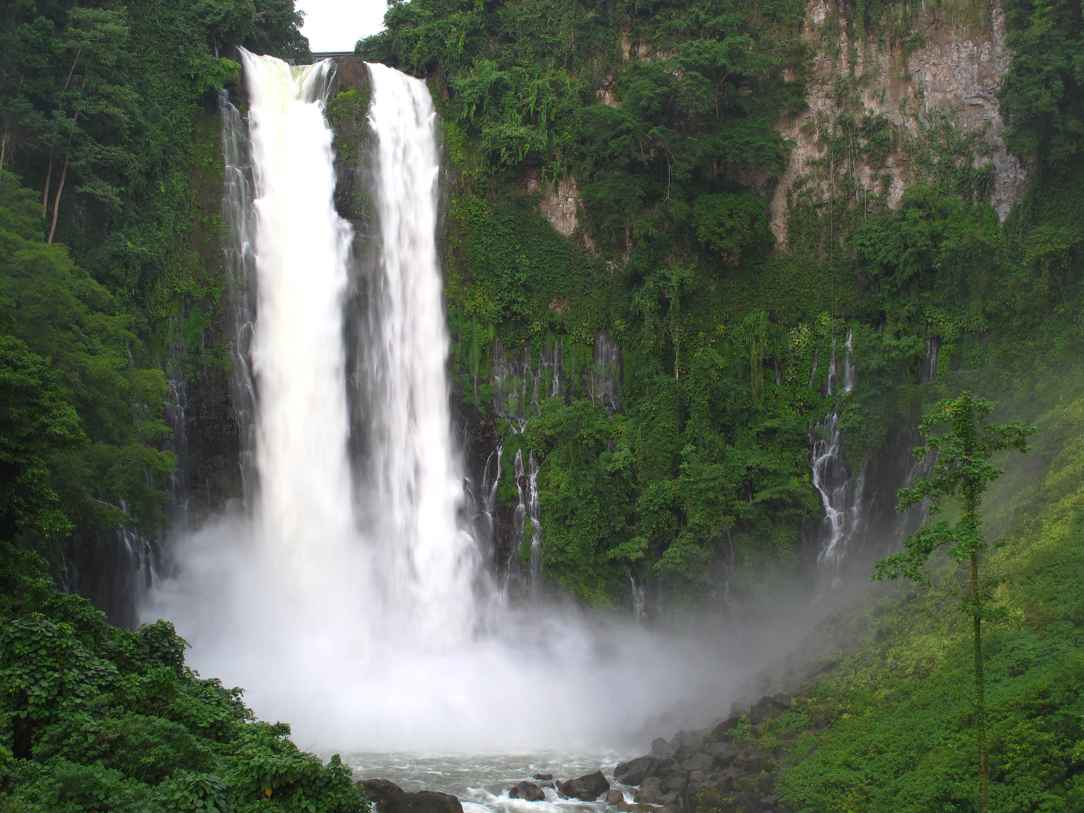 DOE forms team for Agus-Pulangi privatization