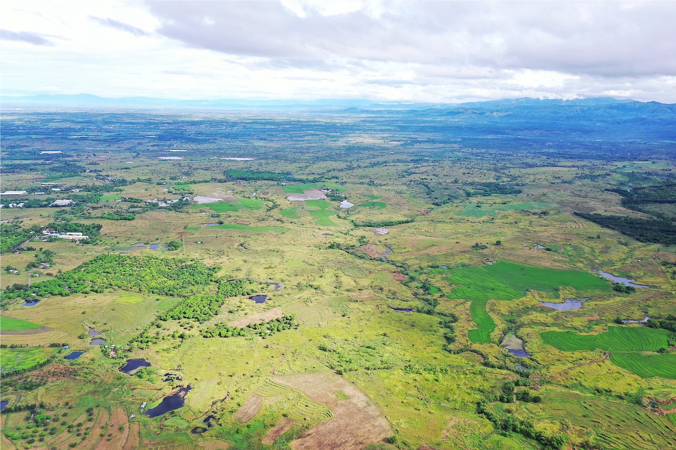 Leviste: Nueva Ecija solar ranch construction “ahead of schedule”
