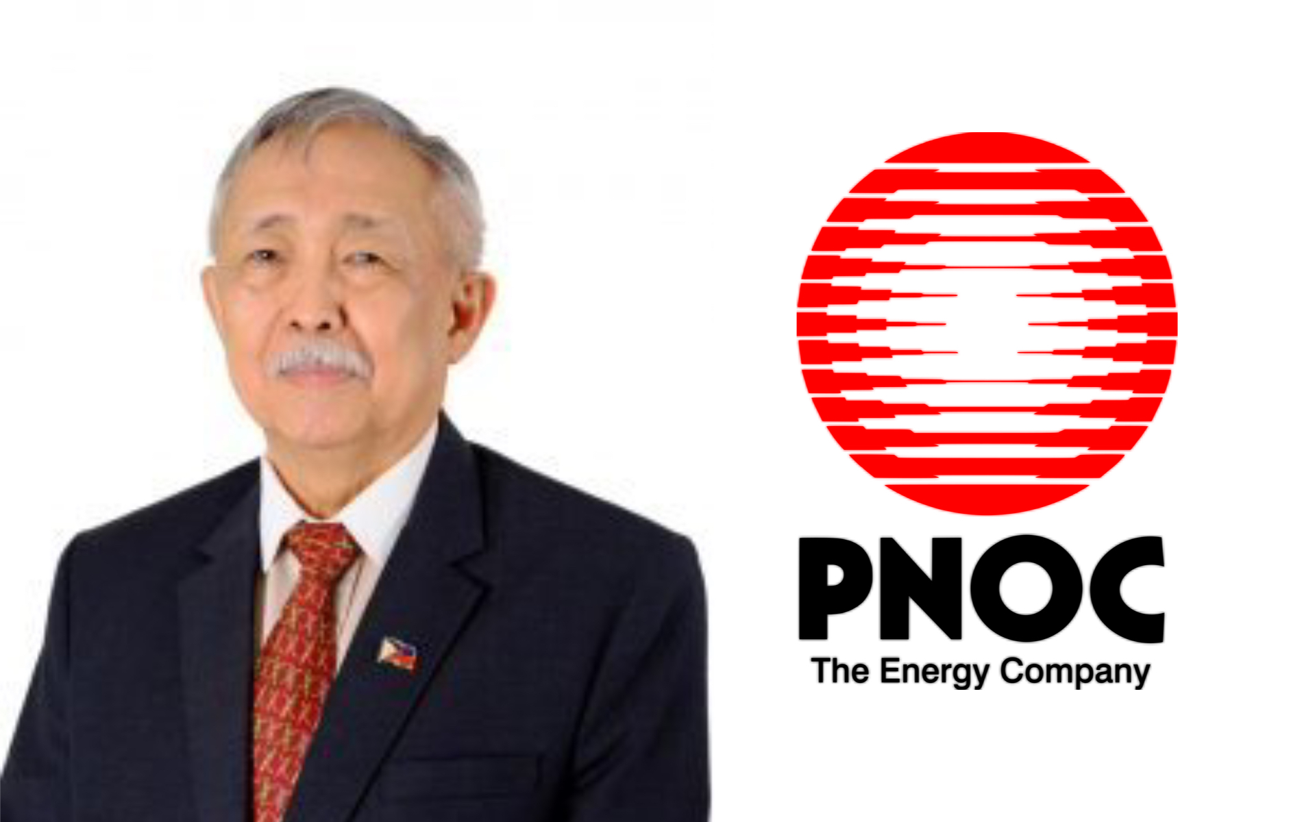 New PNOC head to tap private sector for projects
