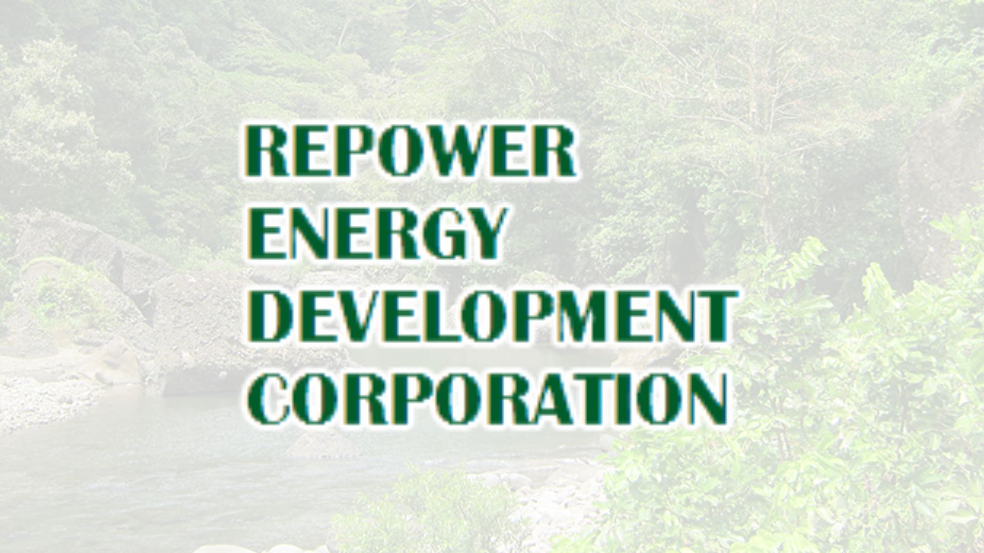 Repower Energy eyes further growth by end-2023