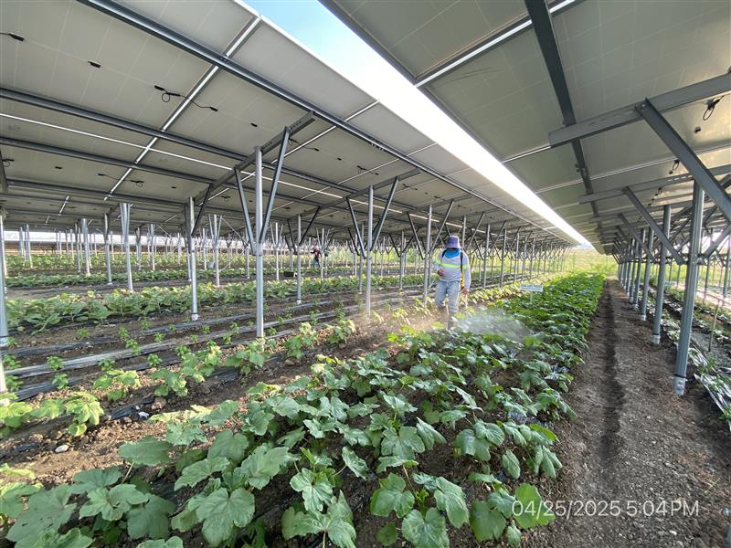PetroGreen Intensifies Green Advocacy with        We Power C.A.R.E. Program